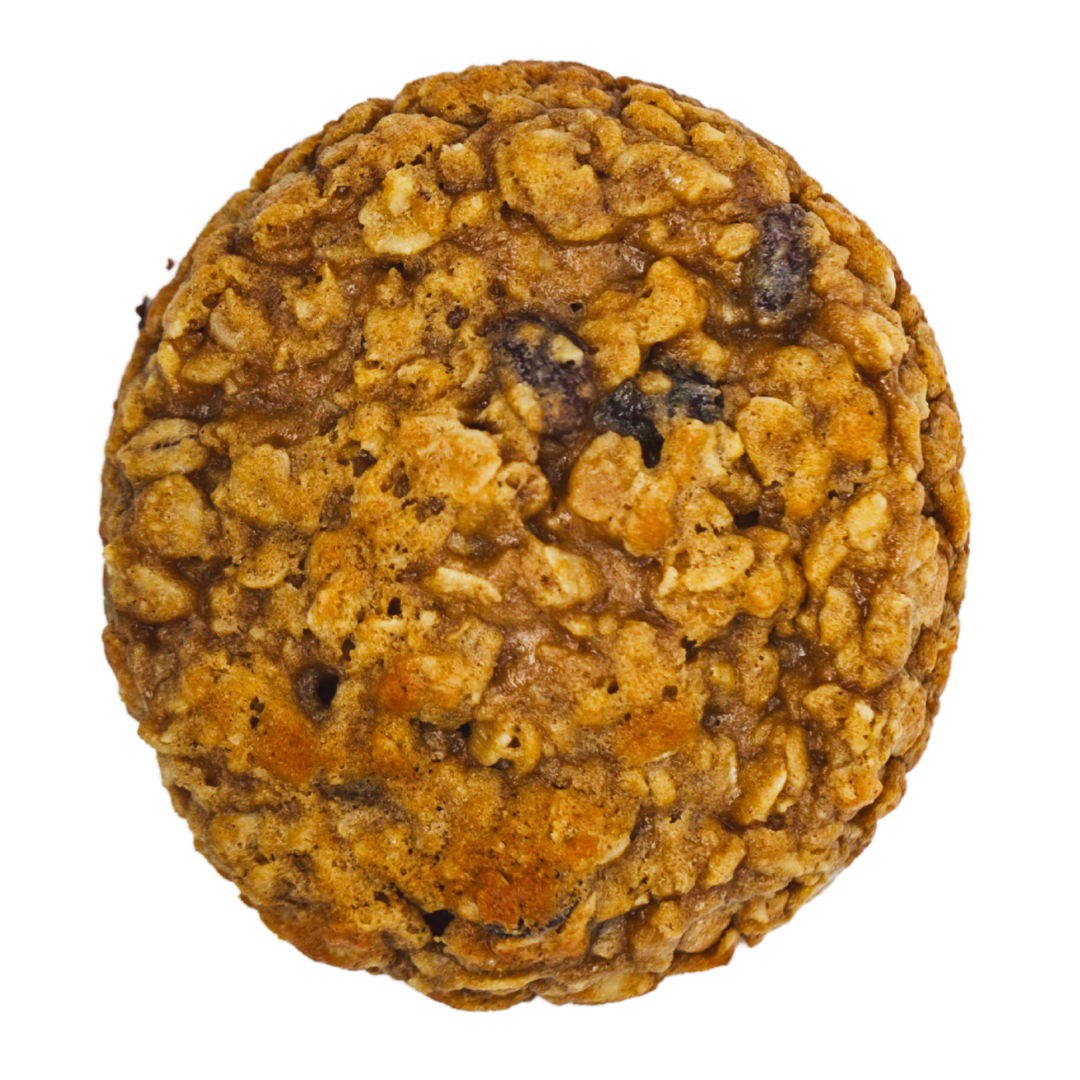 Granny's Favorite Oatmeal Raisin